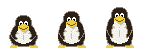 Linux