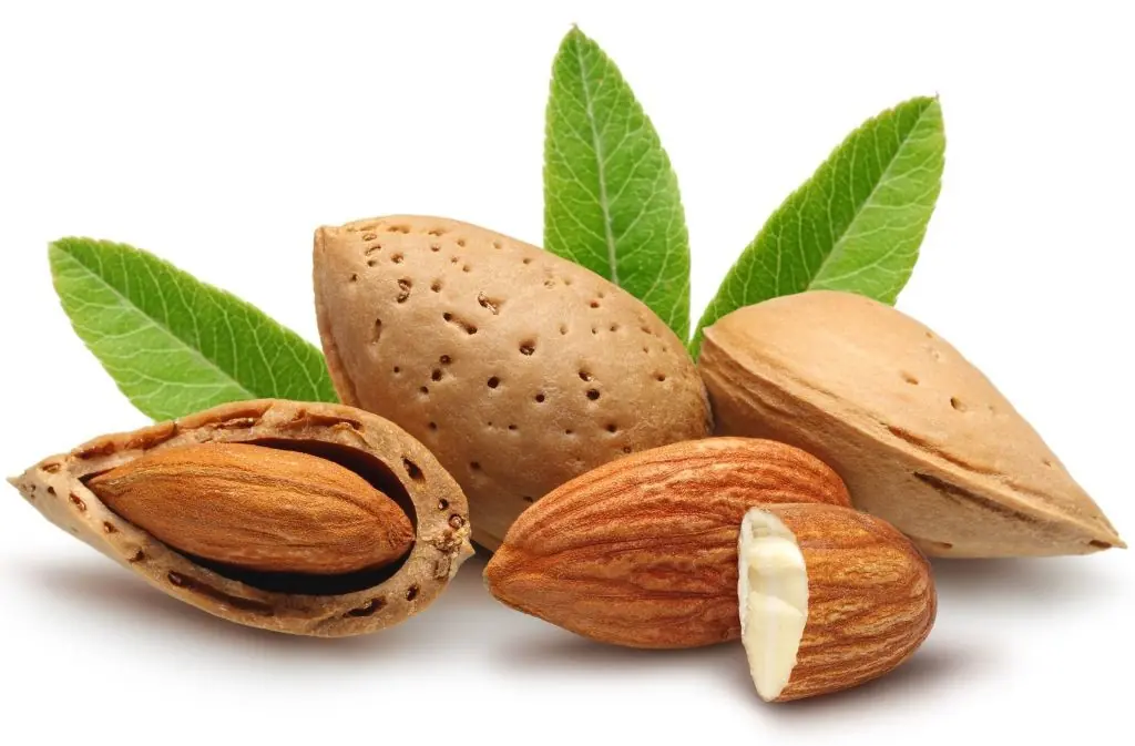 Baja de peso con estos alimentos