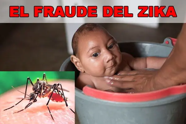 Engaño Zika Revelado: Causa Real Deformaciones Cerebrales