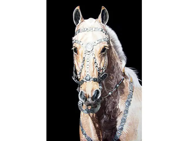 caballos