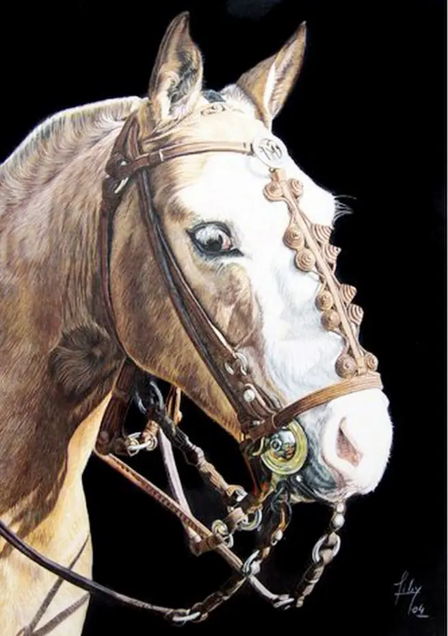 Liliana Gauris arte Argentino