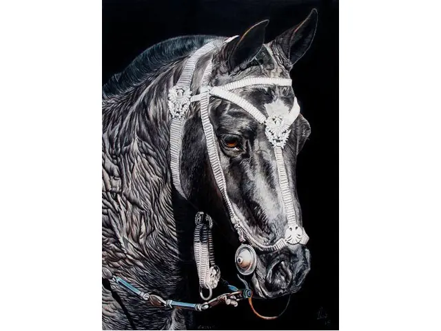 caballos