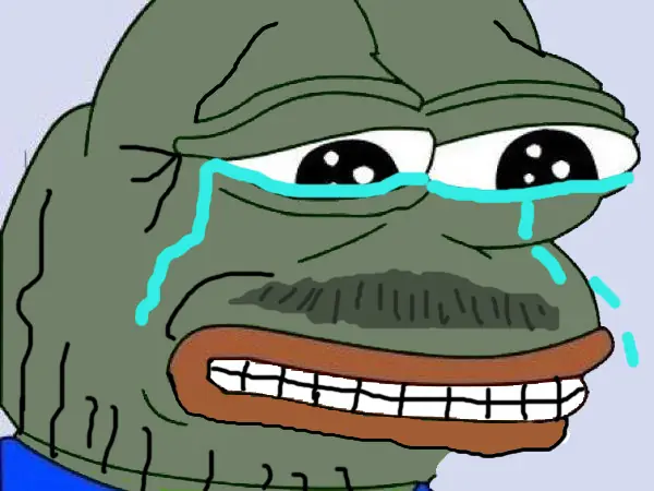 hongo hongo