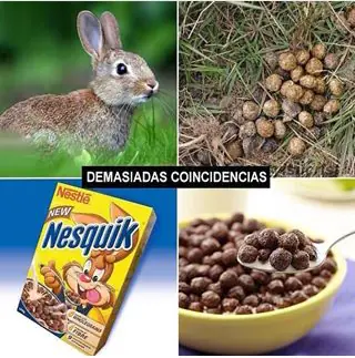 humor