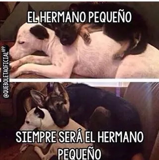 Megapost de regreso :D!!