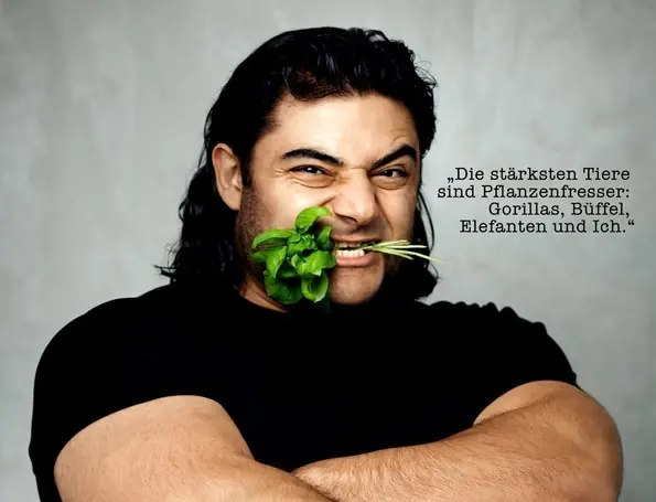 vegetarianos