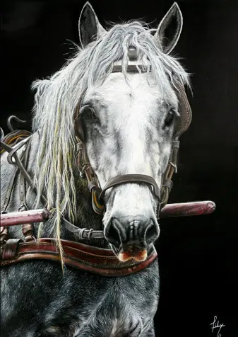 caballos