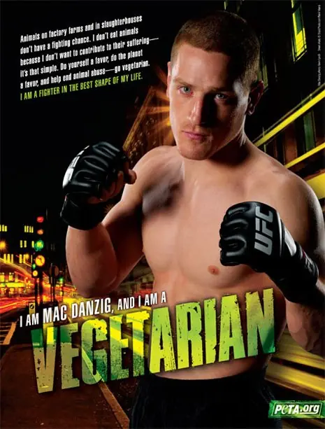 vegetarianos vegetarianos