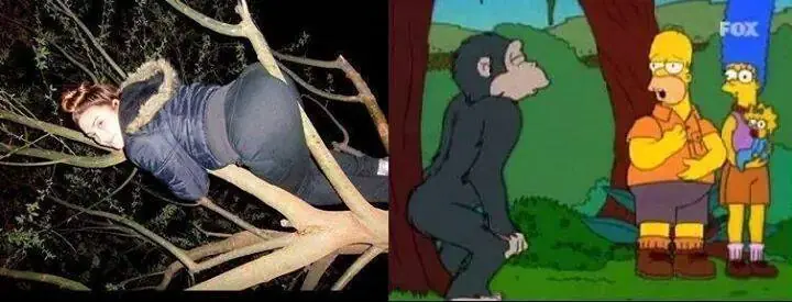 risa
