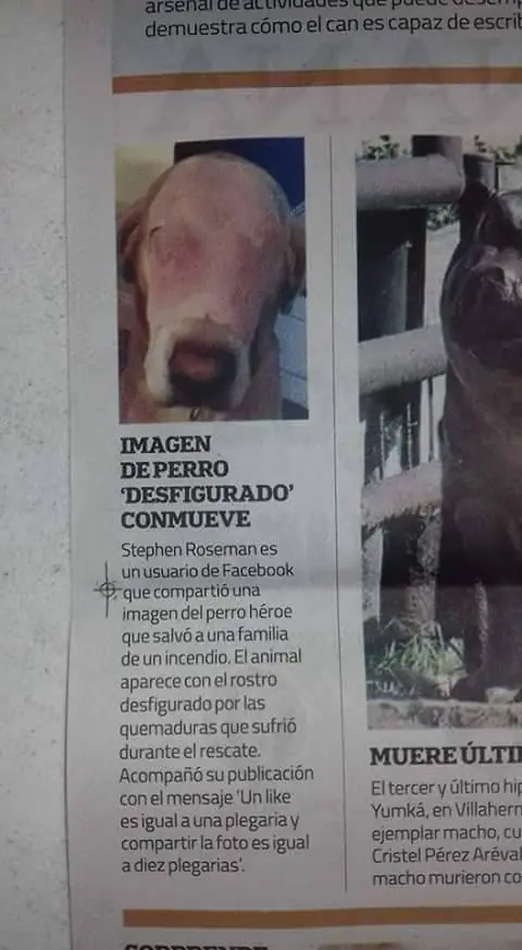 Mas 3 si te reís con alguna (2)