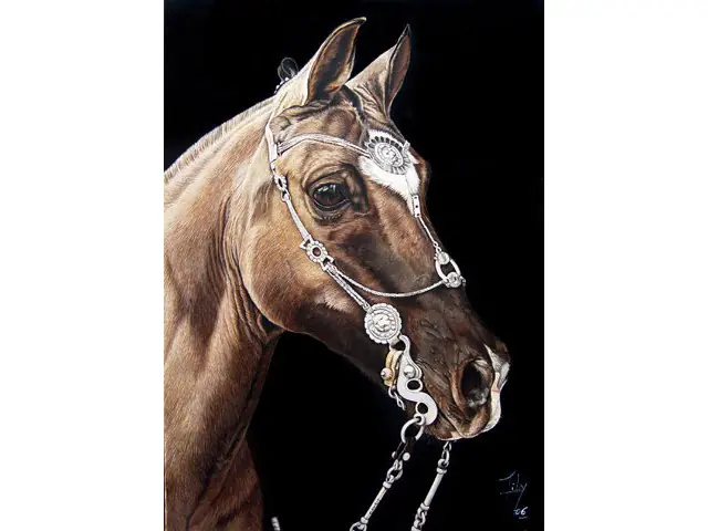 caballos