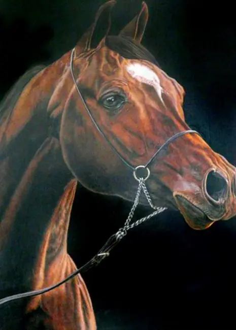 Liliana Gauris arte Argentino