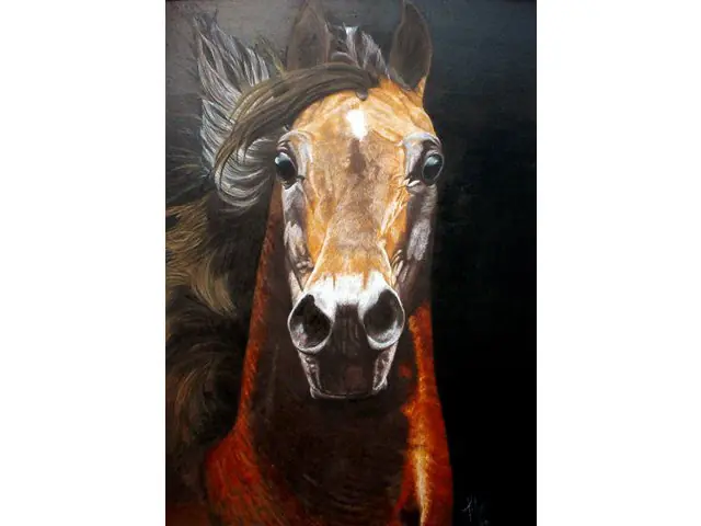 caballos