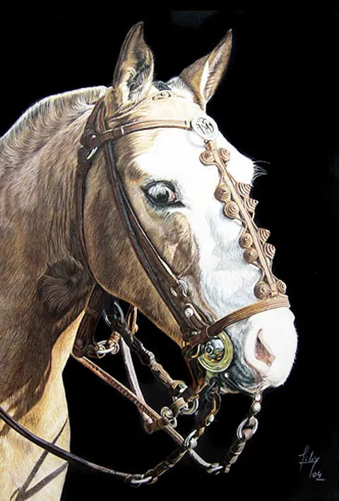 caballos