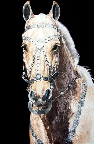 caballos