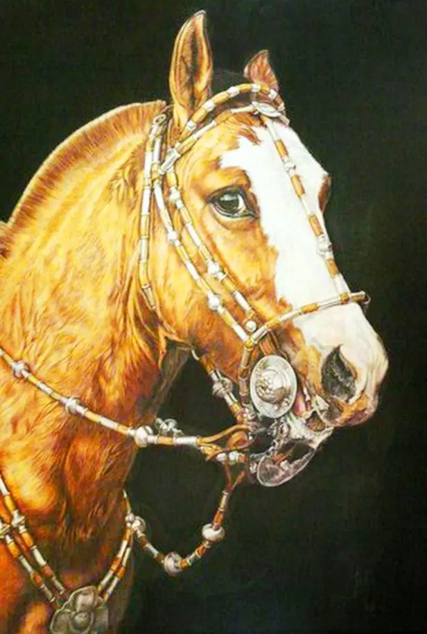 caballos