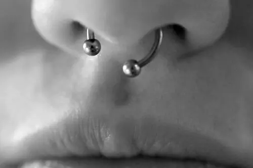 Septum (Dudas)