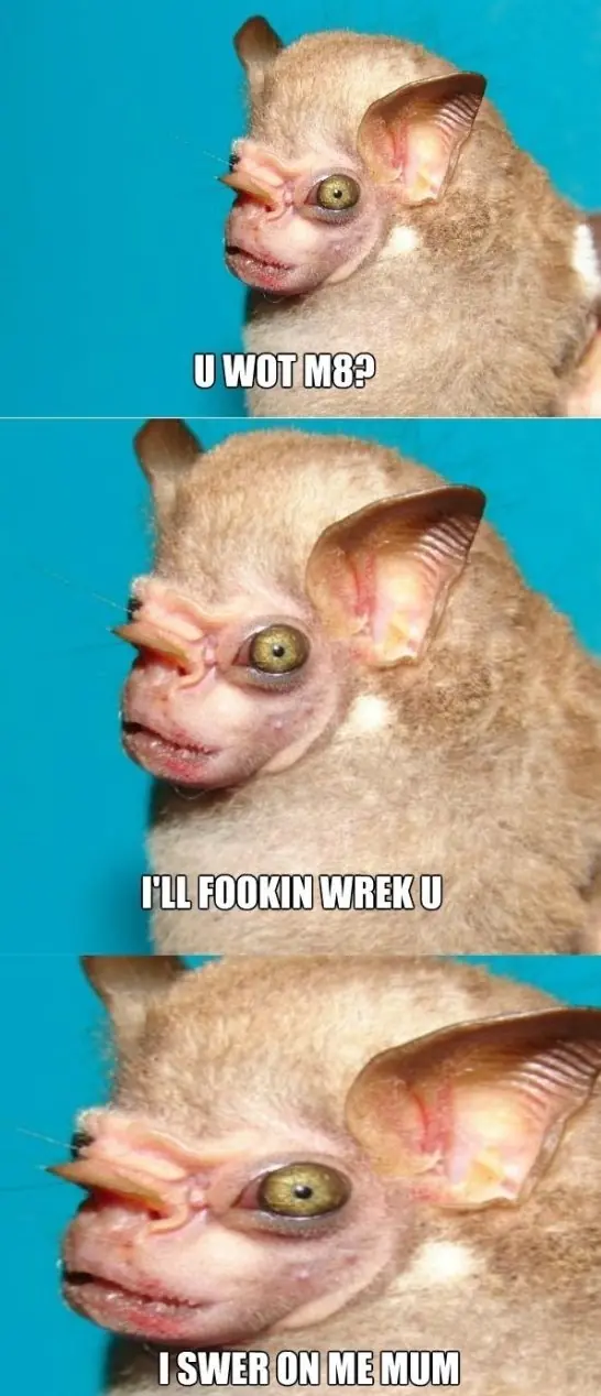 viernes