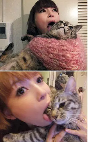 solo en japon vemos esto