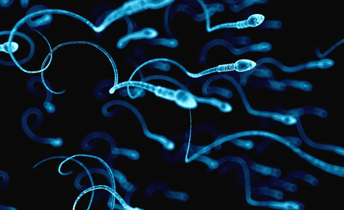 semen