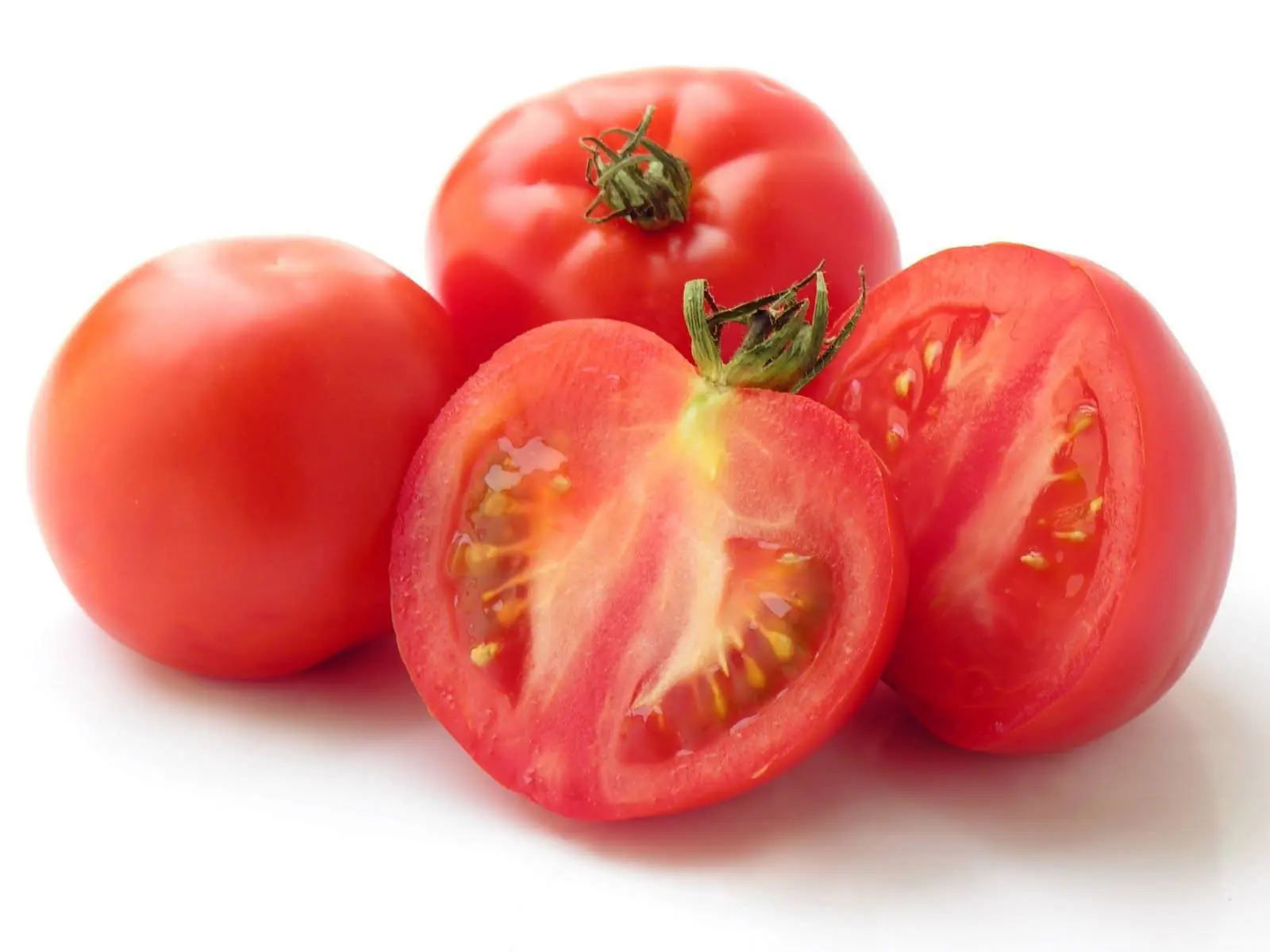 alimentacion
