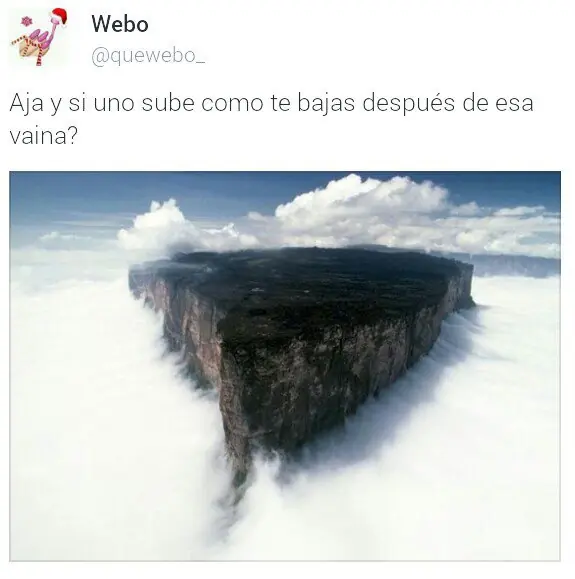 plo plo plo