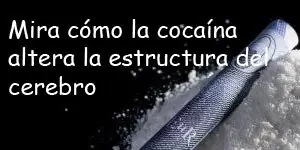Bronca