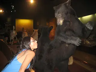 Animales