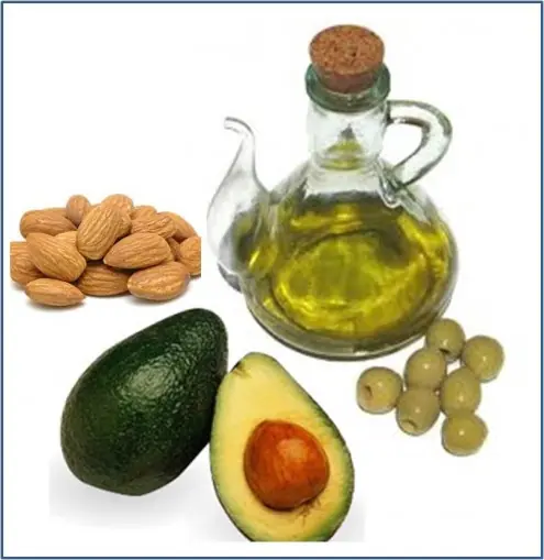 alimentacion