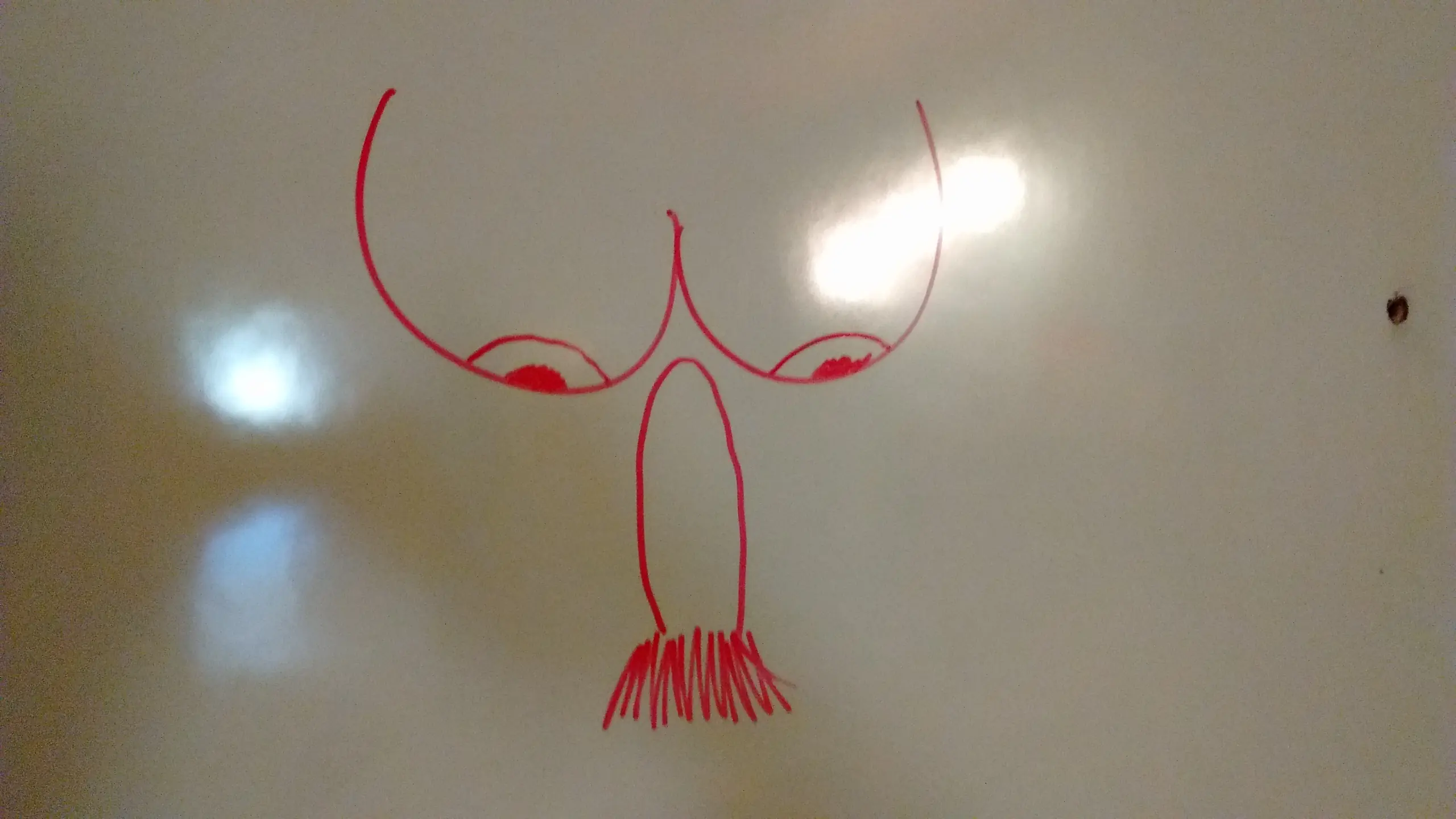 maestra