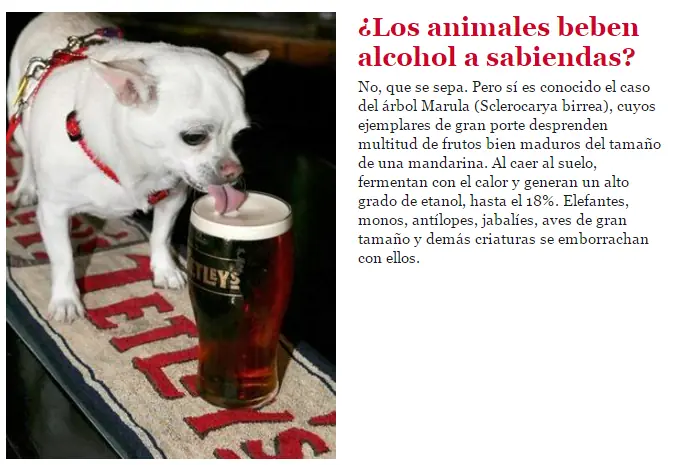 animales