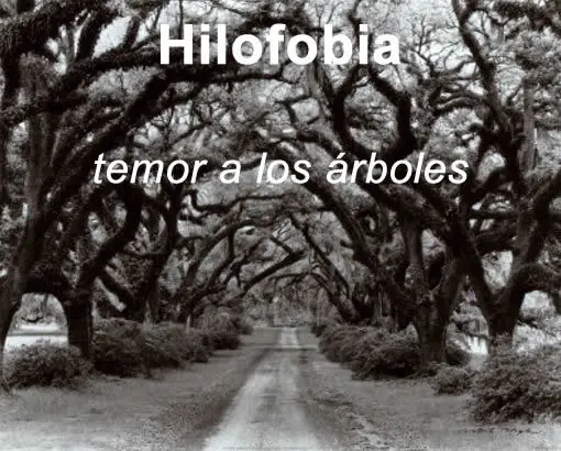 muchas fobias