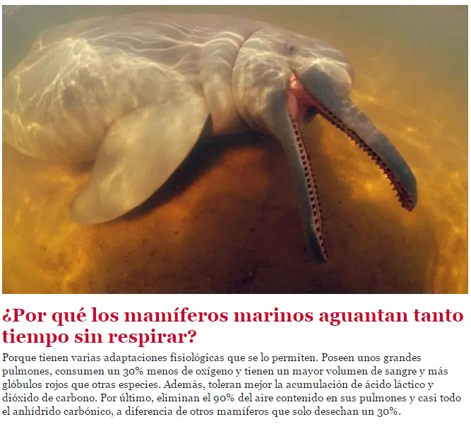 naturaleza