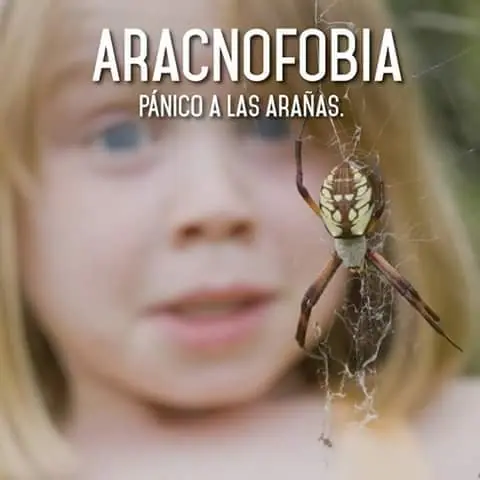 fobias