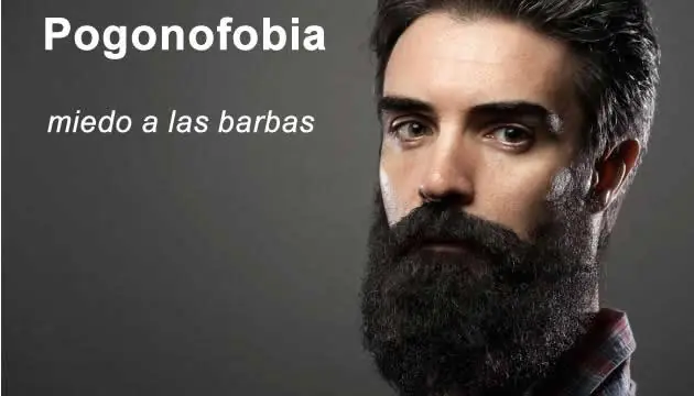fobias y miedos