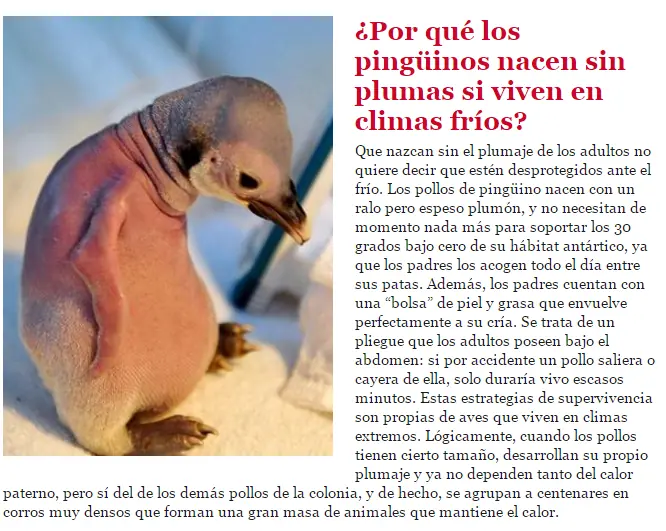 aves