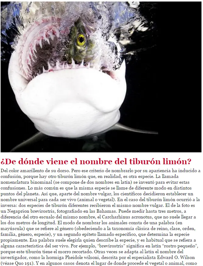 curiosidades de la naturaleza