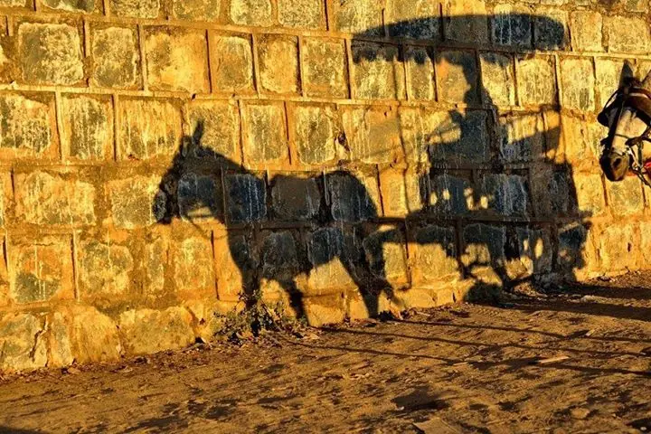 arte