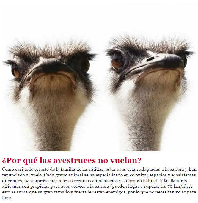 biologia