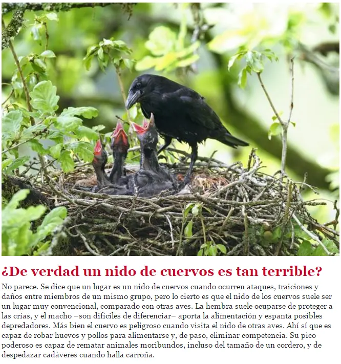 naturaleza