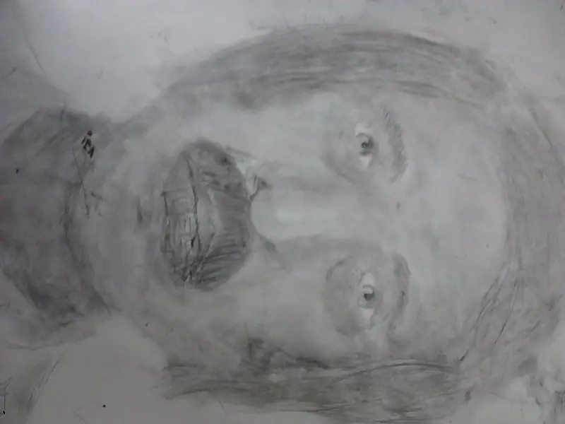 lapicera