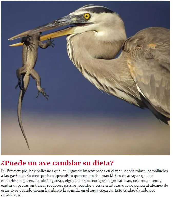 biologia