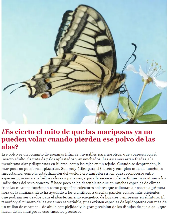estudios sobre animales