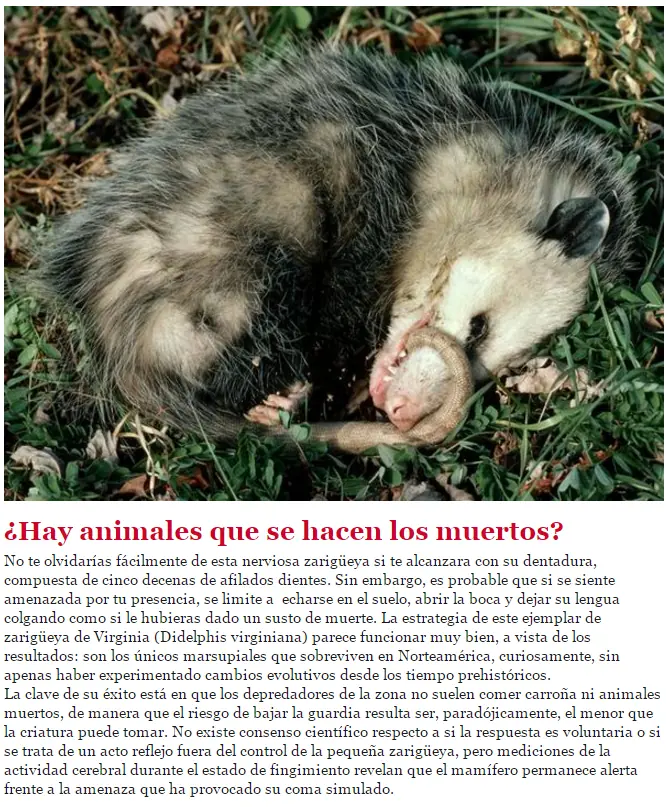 curiosidades de la naturaleza