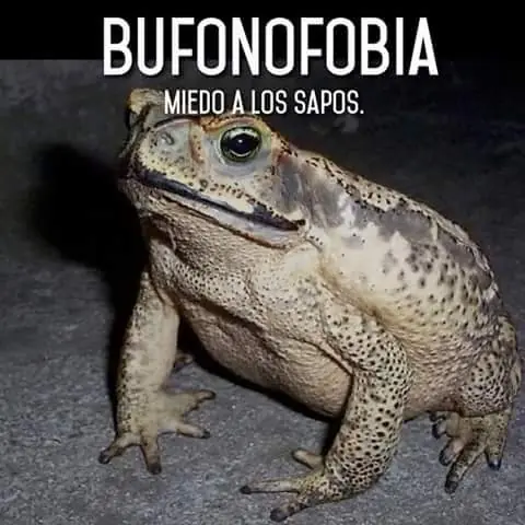 miedos