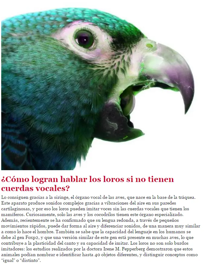 estudios sobre animales