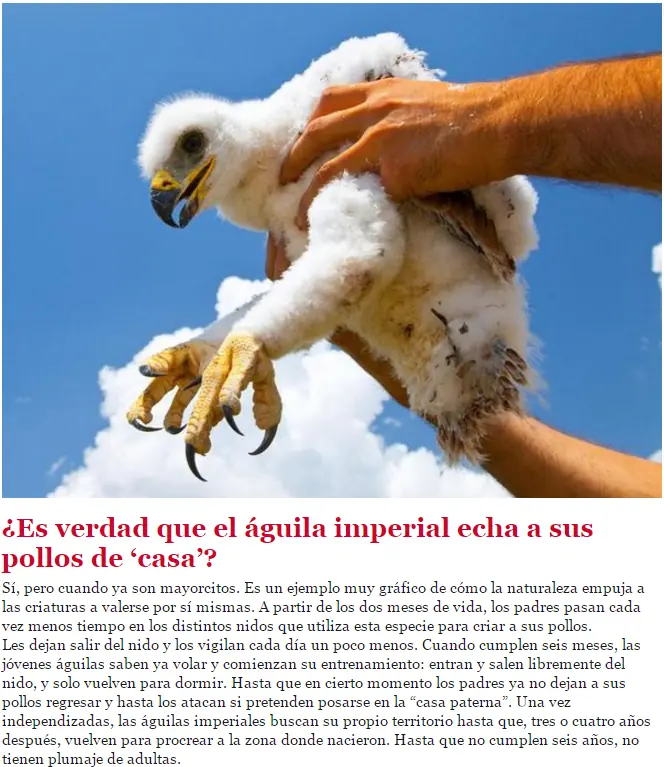 curiosidades de la naturaleza