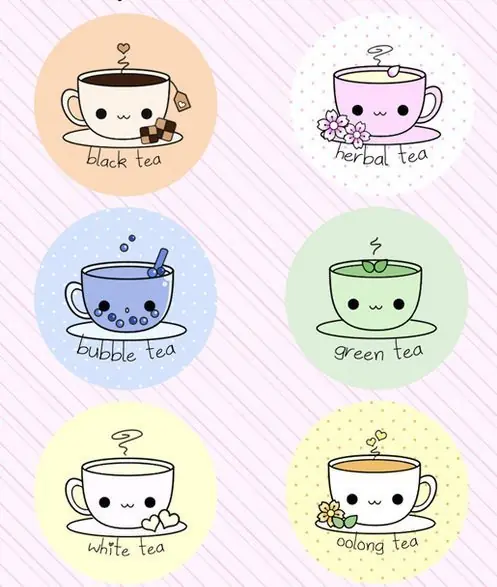 Diferencias entre el te y una infusion