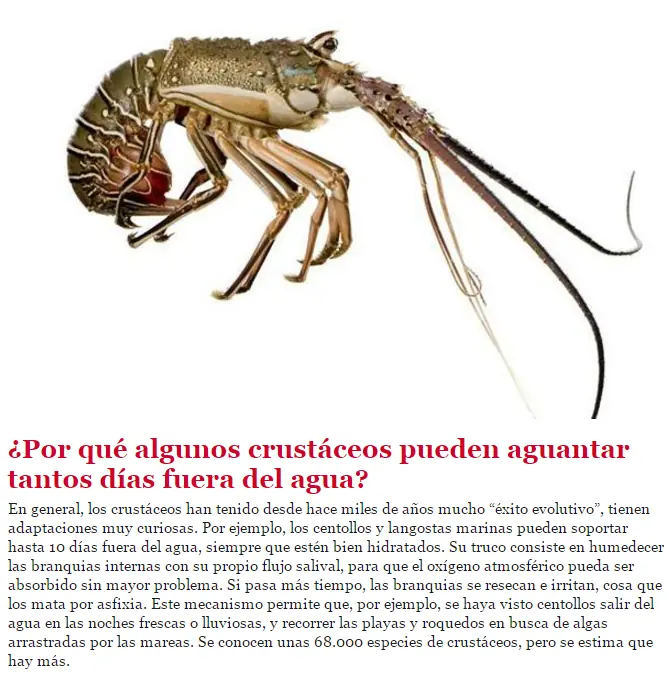 animales