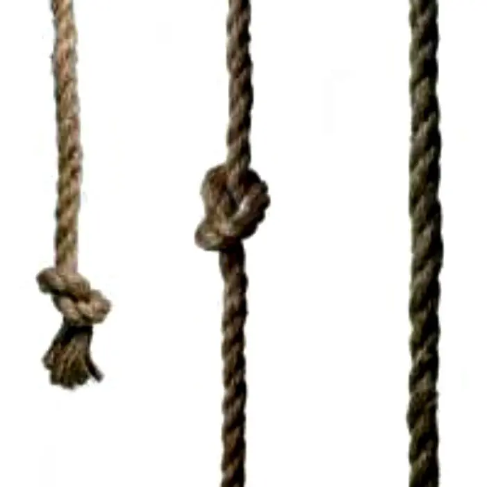 Muertes  curiosas e inexplicables